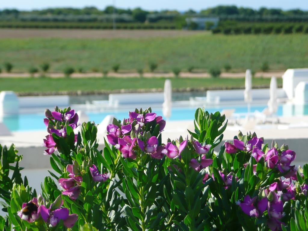 Masseria Bagnara Resort&Spa Marina di Lizzano Esterno foto