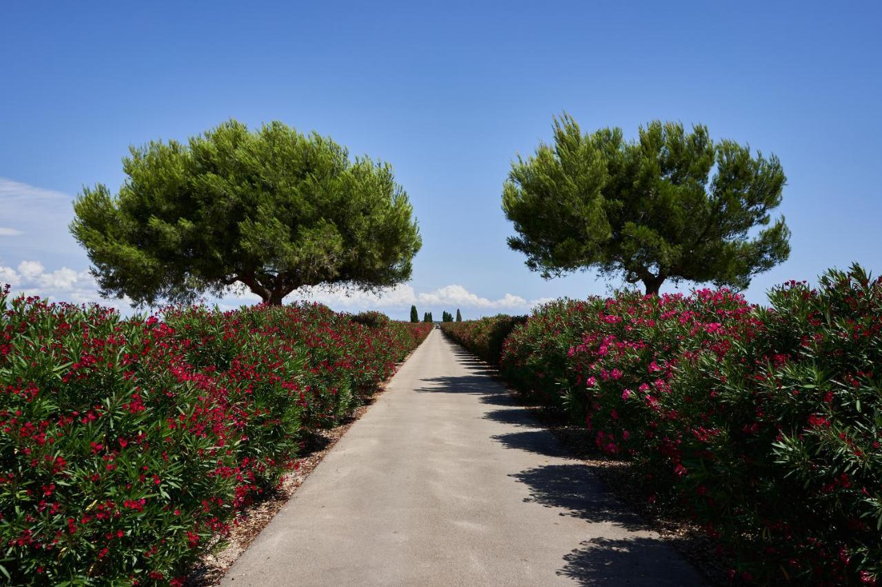 Masseria Bagnara Resort&Spa Marina di Lizzano Esterno foto